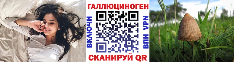 Галлюциногенные грибы Magic Shrooms  Купить  Закаменск 